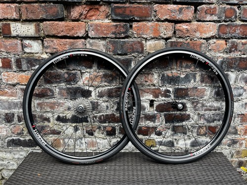 Pacenti chris king r45 naben - king,
