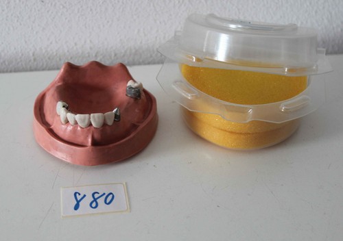 Kavo schaumodell - kavo,