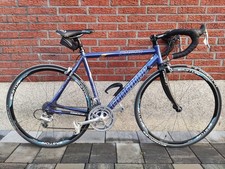 Kleines 53cm Concorde Mistral