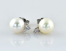 Ohrringe Akoya Perle 585/000