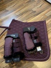 Cavallo Set Schabracke Und