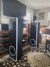 Definitive technology d17 - definitive,