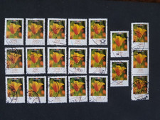 BRD Blumen 20 x Goldmohn 200 Cent , Mi-Nr  2568
