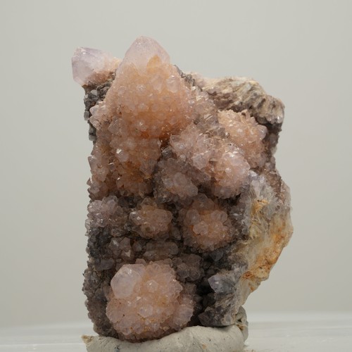 Seltene kaktus amethyst - seltene,