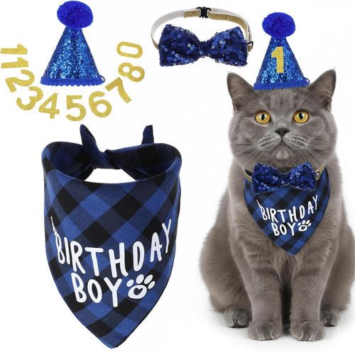 Stück katzen geburtstag hut - 4,