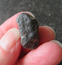 SELTENER NAMIBISCHER TSESIT