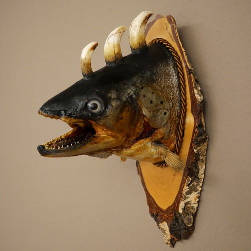 Fischwolpi wolpertinger - fischwolpi,