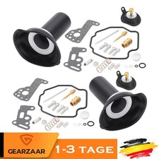 2x Vergaser Reparatur Satz