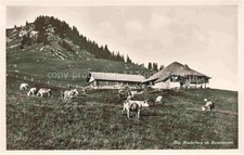 Zweisimmen BE Alp Rinderberg Almvieh Bergbauernhof