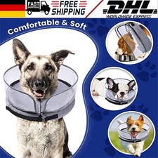 Haustiere Halskrause Hund
