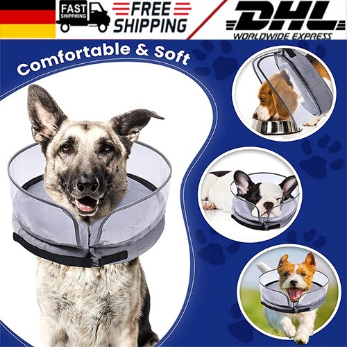 Haustiere halskrause hund - haustiere,