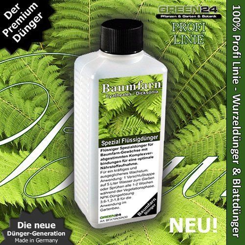 Baumfarn dünger für - baumfarn-dünger,