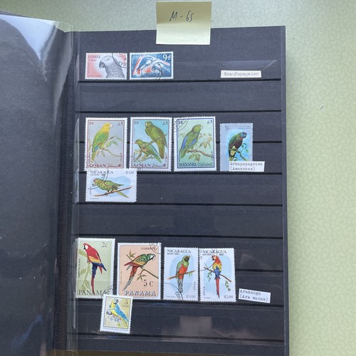 Motivsammlung fauna vögel - motivsammlung,