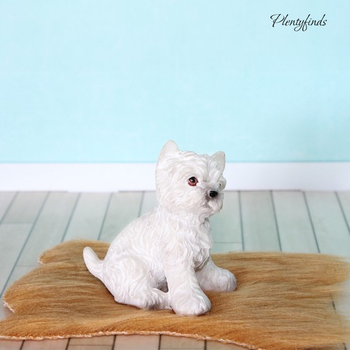 Miniatur hund west - miniatur,