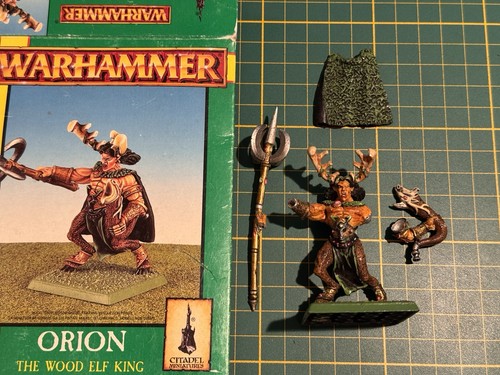 Warhammer marauder wood elves - warhammer,