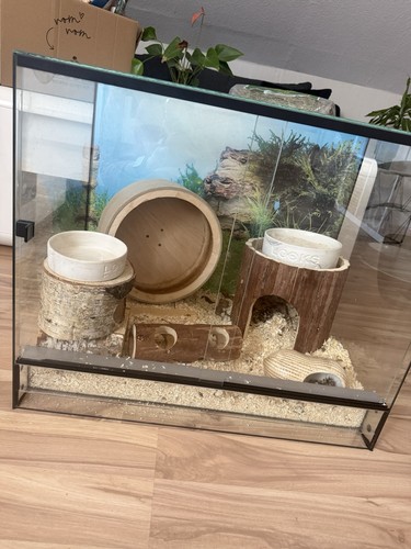 Glasterrarium mit