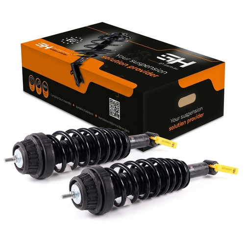 Komplett stoßdämpfer - 2x,