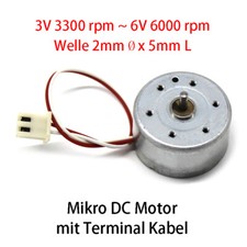 300 Mikro DC Motor mit