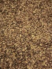 300 Samen Säulenzypresse - Mittelmeer Zypresse - Toskana Cupressus sempervirens