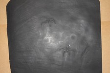 Seestern Replik Bundenbach (ES 63)