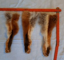 3 Echt Pelz Rotfuchs Pfoten ca 25 Cm, Gebraucht ,in Gutem Zustand