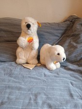 Eisbären Steif Arco Und Cossy Issy