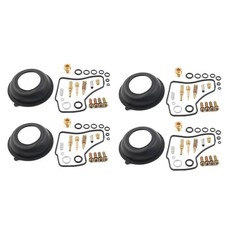 Vergaser-Reparatursatz für