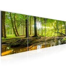 Bilder Set Modern Wald