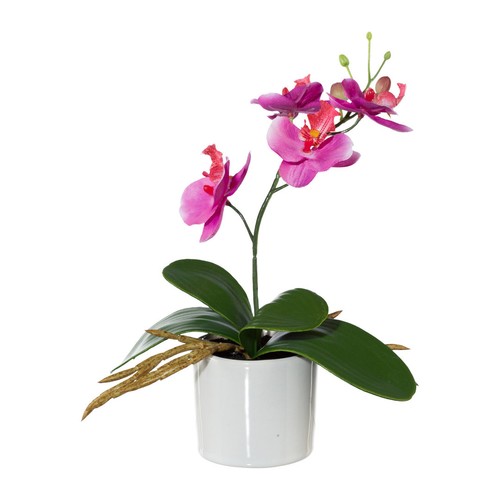 Kunstblume miniphalaenopsis - kunstblume,
