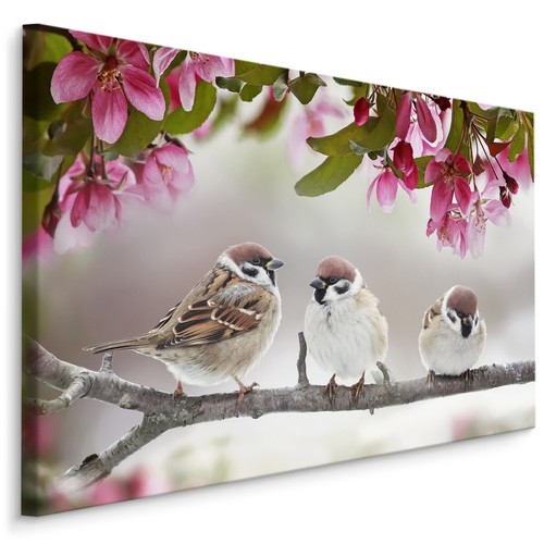 Canvas leinwand bilder xxl - leinwand,