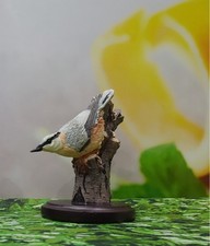 Unsere schöne Vogelwelt