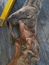 2 XL Treibholz Schwemmholz