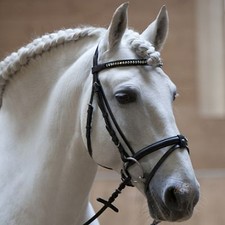 Kieffer Trensenzaum " Anja