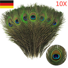 10X Natürliche Pfauenfedern