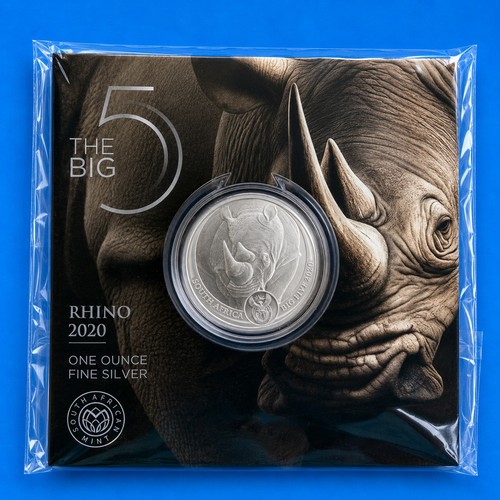 Südafrika big five nashorn - südafrika,