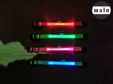 Led hundehalsband - led,