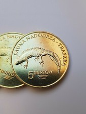    5 Nurtów 2009 Traszka