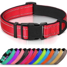 Hundehalsband Nylon Neopren