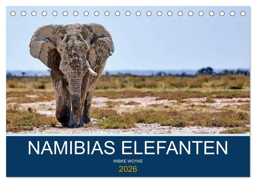 Namibias elefanten - namibias,