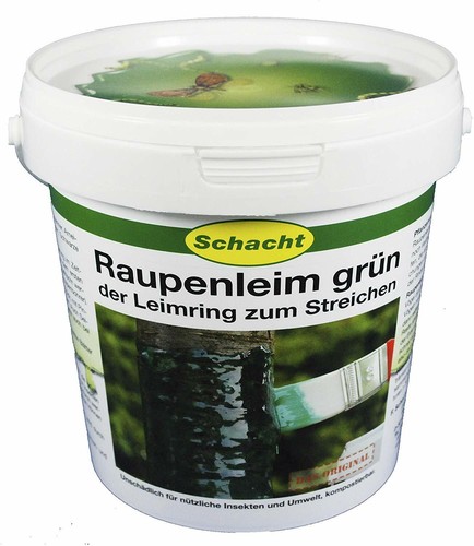 Schacht baumleim raupenleim - raupenleim, 1