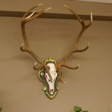 Rothirsch gerader 12 ender H 123 cm Hirschgeweih Hirsch Barockschild grün gold