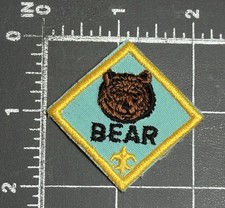 Bär Junges Rang Junge