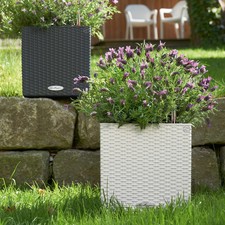 Lechuza 'Cube Cottage 40' weiß ca.