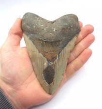 14,6 cm Kantenlänge Monster