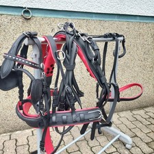 Top  Einspänner  Geschirr Mini Mini Shetty schwarz/rot quick out anatomisch 