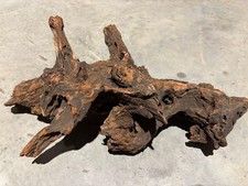 Großes uraltes Wurzelholz