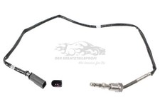 Abgastemperatursonde vor