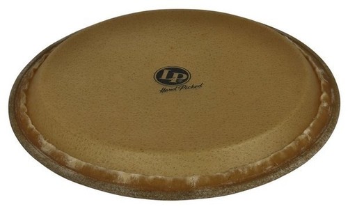 Latin percussion - latin,