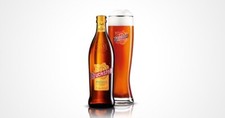 Duckstein Weizen 6 x 0,5l mit