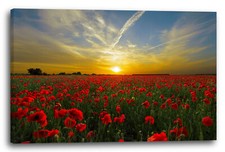 Wandbild Blumenbilder